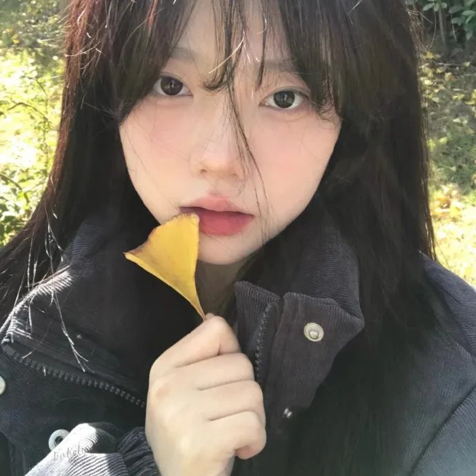 监察局长