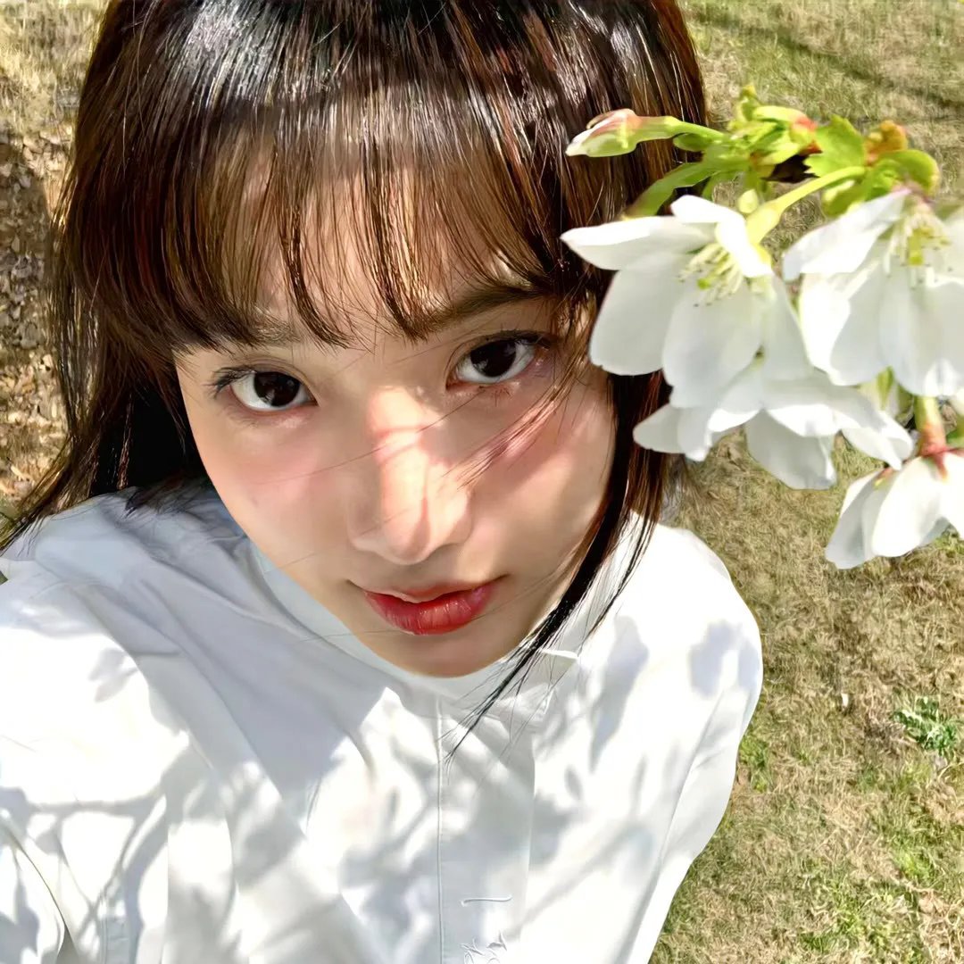 仙女教母